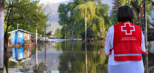 Back of a woman with a white shirt and red, Red Cross vest on, facing a flooded street with trees on either side and mountains in the background.